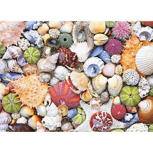 Puzzle: Seashore (ONLINE ORDER ONLY)