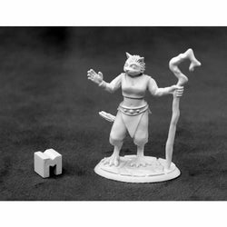 RPR03927 Mistveil Catfolk Sorceress Miniature 25mm Heroic Scale (ONLINE ORDER ONLY)