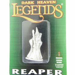 RPR03953 Anuminar Winterbeard Wizard Miniature 25mm Heroic Scale (ONLINE ORDER ONLY)