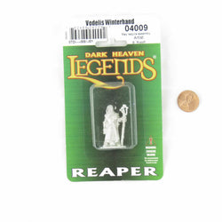 RPR04009 Vodellis Winterhand Wizard Miniature 25mm Heroic Scale Figure (ONLINE ORDER ONLY)