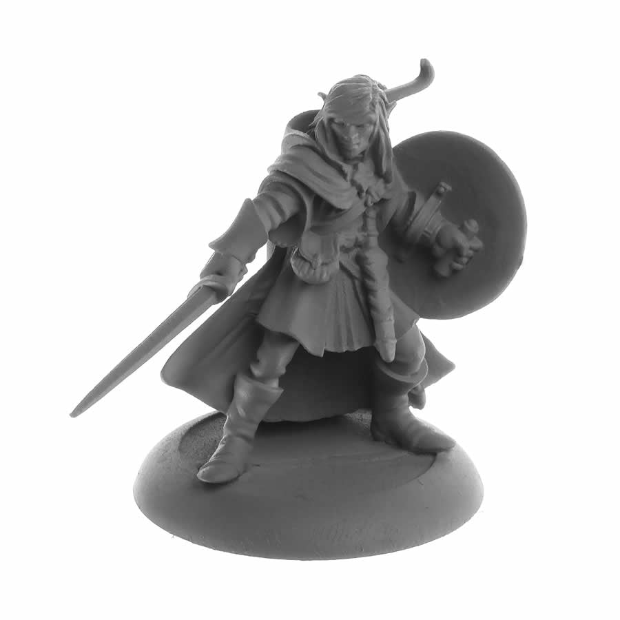 RPR04084 Elf Fighter Mellonir Windrunner Miniature 25mm Heroic Scale Figure Dark Heaven Legends (ONLINE ORDER ONLY)