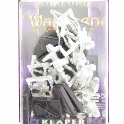 RPR06119 Vale Archers Elven Adept 25mm Heroic Scale Fantasy Miniatures (ONLINE ORDER ONLY)
