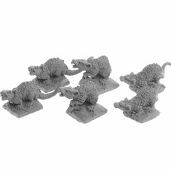 RPR07031B Giant Tomb Rats Miniature 25mm Heroic Scale Figure Dungeon Dwellers (ONLINE ORDER ONLY)