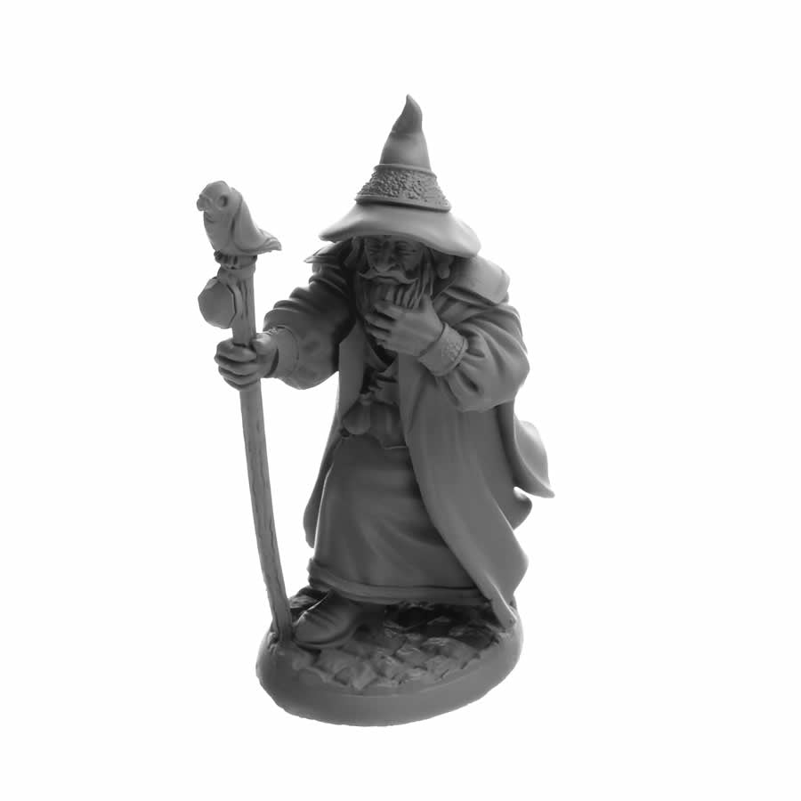 RPR07068 Landol Griwsold Human Wizard Miniature 25mm Heroic Scale Figure Dungeon Dwellers Reaper Miniatures (ONLINE ORDER ONLY)