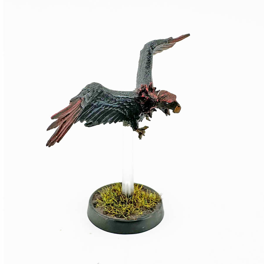 RPR07119 Gallowhawk Miniature 25mm Heroic Scale Figure Dungeon Dwellers (ONLINE ORDER ONLY)