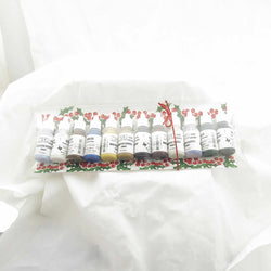 RPR09969 Holiday Paint Set Core Colors 2021 Acrylic Master Series Hobby Paint (ONLINE ORDER ONLY)