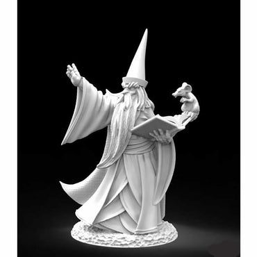 RPR30002 Darius The Wizard Miniature Figure 25mm Heroic Scale Reaper Bones USA (ONLINE ORDER ONLY)