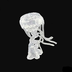 RPR44192 Dire Jellyfish Miniature 25mm Heroic Scale Figure Bones Black (ONLINE ORDER ONLY)