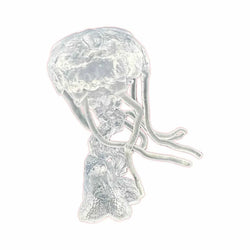 RPR44192 Dire Jellyfish Miniature 25mm Heroic Scale Figure Bones Black (ONLINE ORDER ONLY)
