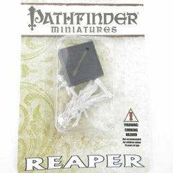 RPR60048 Feiya Iconic Witch and Fox Familiar Miniature 25mm Heroic Scale (ONLINE ORDER ONLY)