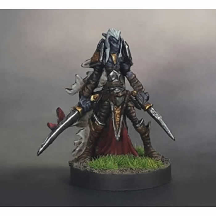 RPR77124 Dark Elf Warrior Miniature 25mm Heroic Scale Dark Heaven (ONLINE ORDER ONLY)