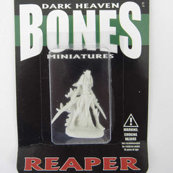 RPR77124 Dark Elf Warrior Miniature 25mm Heroic Scale Dark Heaven (ONLINE ORDER ONLY)