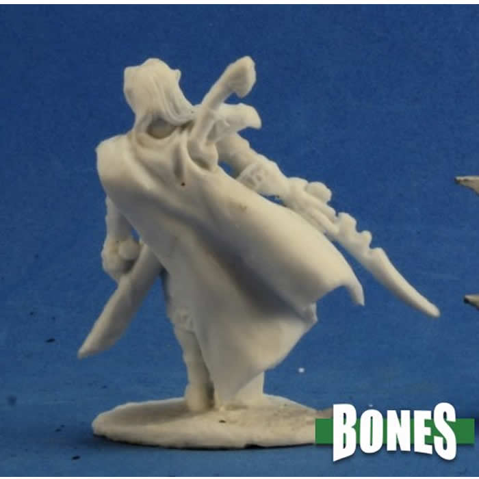 RPR77221 Ardynn Elf Fighter Miniature 25mm Heroic Scale Dark Heaven (ONLINE ORDER ONLY)