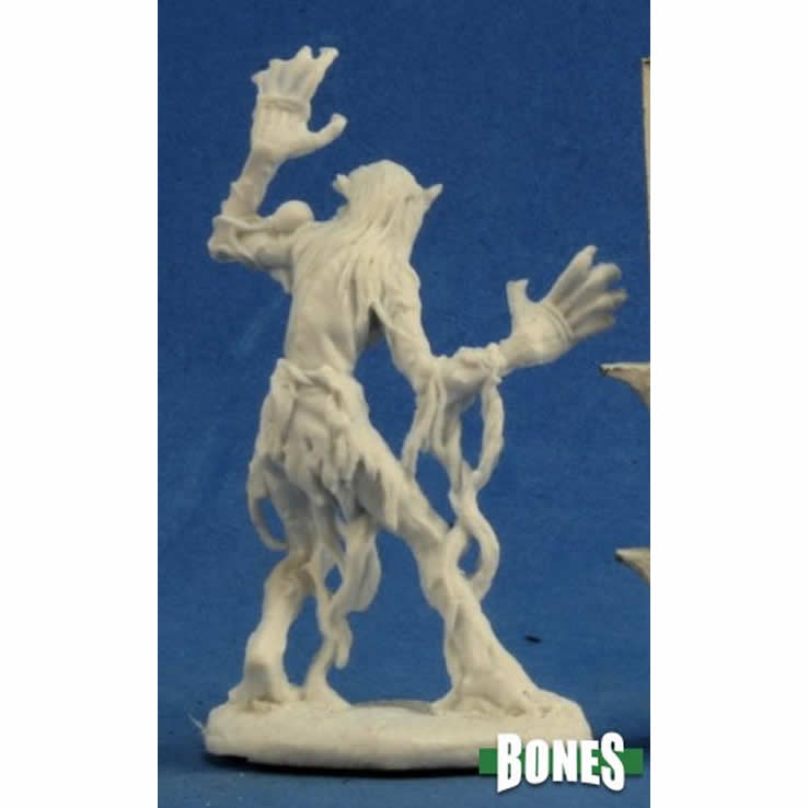 RPR77276 Sea Hag Miniature 25mm Heroic Scale Dark Heaven Bones (ONLINE ORDER ONLY)