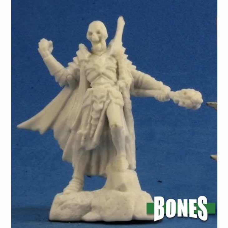 RPR77285 Skeletal Champion Miniature 25mm Heroic Scale Figure (ONLINE ORDER ONLY)
