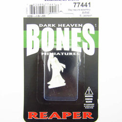 RPR77441 Ostarzha Elf Cleric Miniature 25mm Heroic Scale (ONLINE ORDER ONLY)