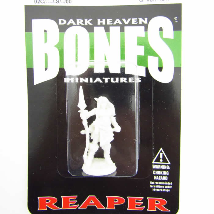 RPR77489 Valkyrie Bregan Miniature 25mm Heroic Scale Dark Heaven (ONLINE ORDER ONLY)
