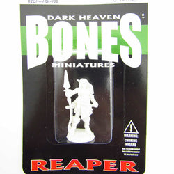 RPR77489 Valkyrie Bregan Miniature 25mm Heroic Scale Dark Heaven (ONLINE ORDER ONLY)