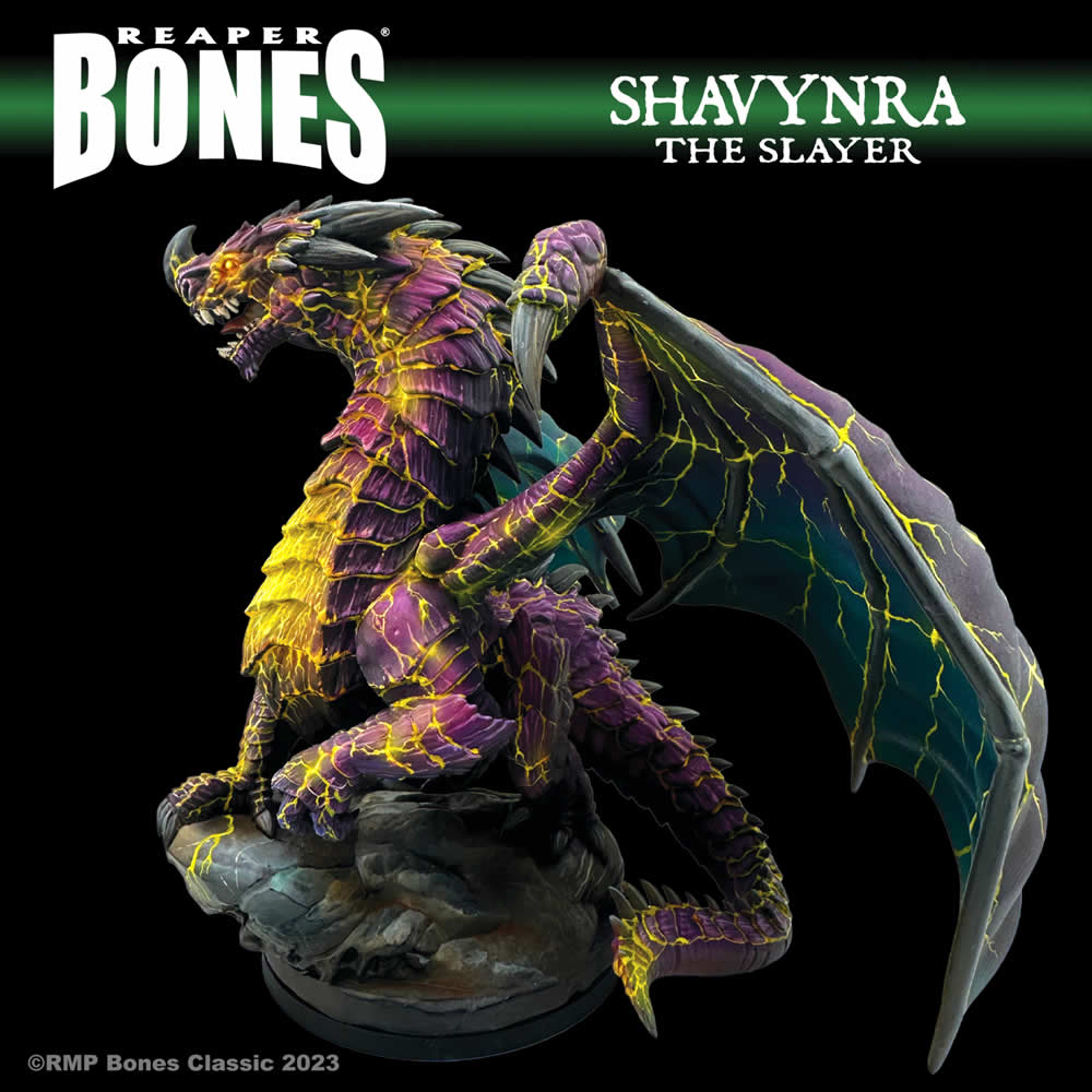 RPR77760 Shavynra the Slayer Miniature 25mm Heroic Scale Figure Dark Heaven Bones (ONLINE ORDER ONLY)