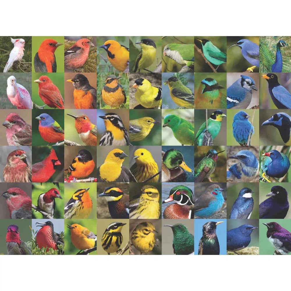 Rainbow of Birds 1000 Piece Jigsaw Puzzle NYPC (ONLINE ORDER ONLY)