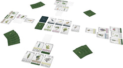 Reforest: Old Growth