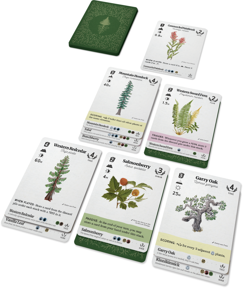 Reforest: Plants of the Pacific Northwest Coast