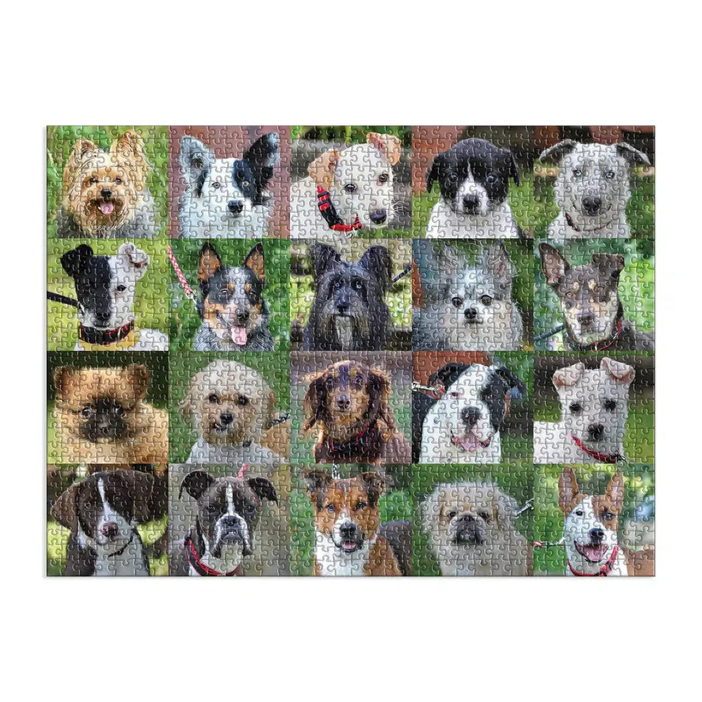Rescue Dogs 1000 Piece Jigsaw Puzzle Galison (ONLINE ORDER ONLY)