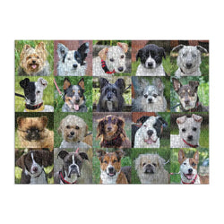Rescue Dogs 1000 Piece Jigsaw Puzzle Galison (ONLINE ORDER ONLY)