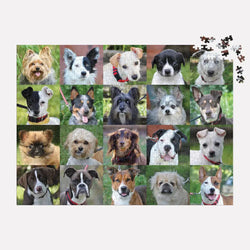 Rescue Dogs 1000 Piece Jigsaw Puzzle Galison (ONLINE ORDER ONLY)