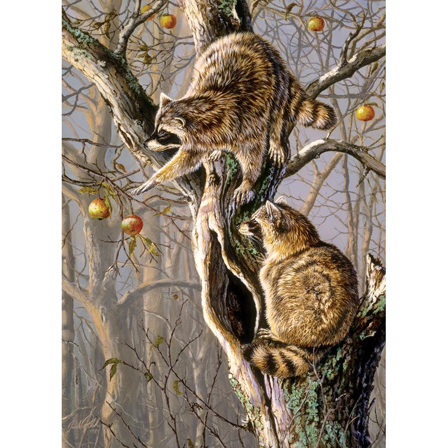 Ringtail Raiders 1000 Piece Jigsaw Puzzle Cobble Hill (ONLINE ORDER ONLY)