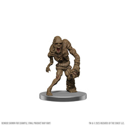 D&D: Icons of the Realms: Monster Menagerie Revisited Booster (ONLINE ORDER ONLY)