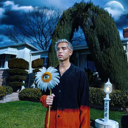 Northend Sweetheart [Opaque Sunburst LP] [Vinyl]