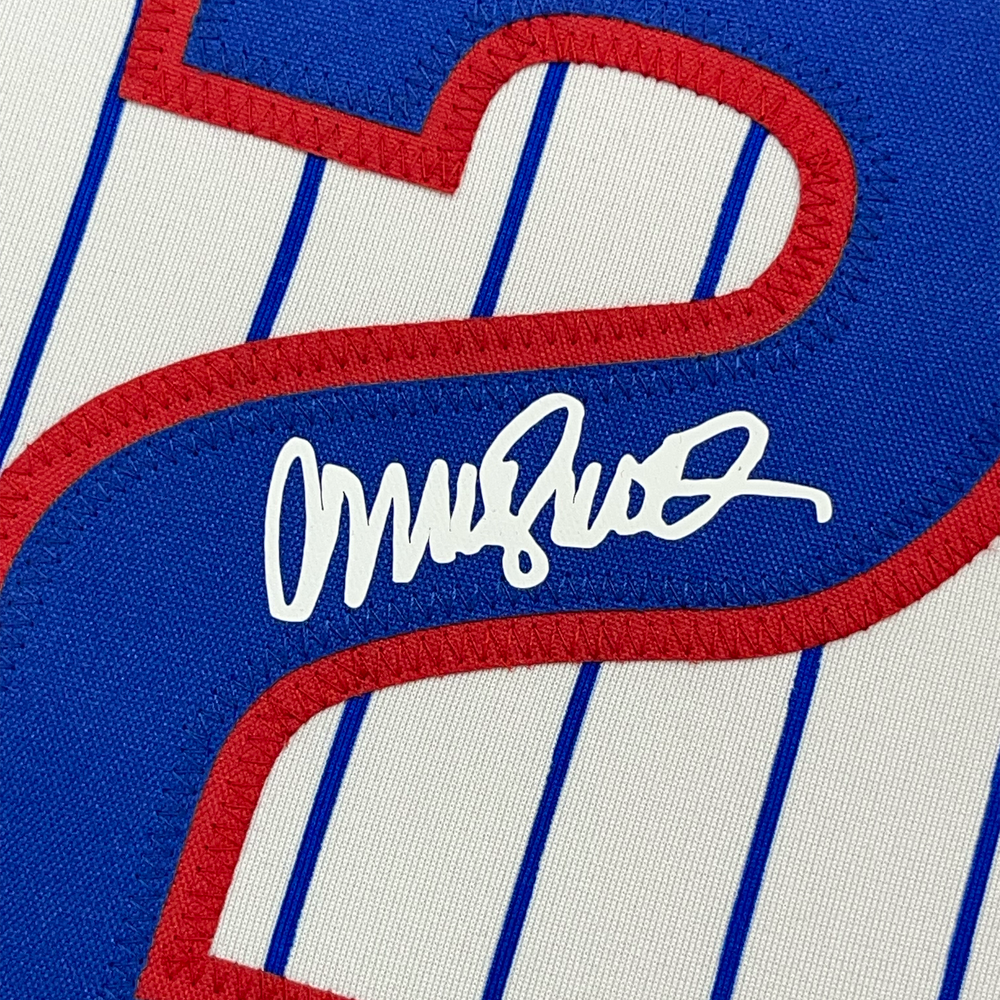 Framed Facsimile Autographed Ryne Sandberg 35x39 Chicago Pinstripe Reprint Laser Auto Baseball Jersey (ONLINE ORDER ONLY)
