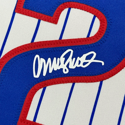 Framed Facsimile Autographed Ryne Sandberg 35x39 Chicago Pinstripe Reprint Laser Auto Baseball Jersey (ONLINE ORDER ONLY)