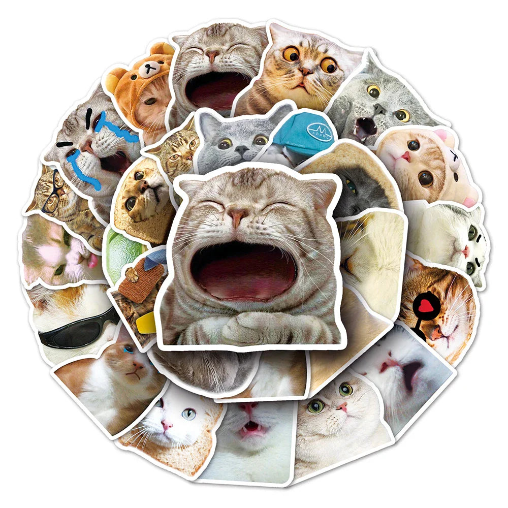 10/30/50PCS Funny Cute Cat Stickers Meme Kawaii Decals For Phone Notebook Laptop Phone Fridge Bike Graffiti DIY Waterproof Toys (ONLINE ORDER ONLY)