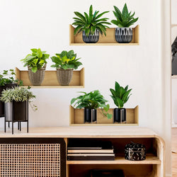 Green Plant Potted Plant Shelves Self-adhesive Wall Decor Sticker For Living Room Vinyl Bedroom Home Decoration Decal PVC Poster (Online Order Only)