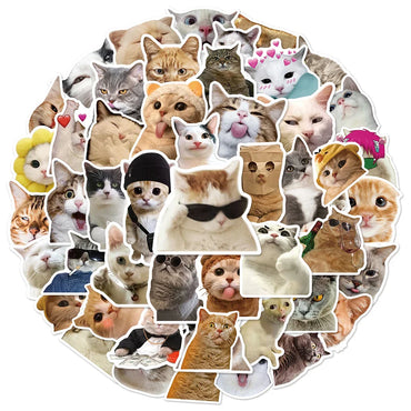 10/30/50pcs Cute Funny Meme Animal Cat Kitty Stickers Decals Kids Toy Laptop Suitcase Notebook Motorcycle Car Decoration Sticker (Online Order Only)