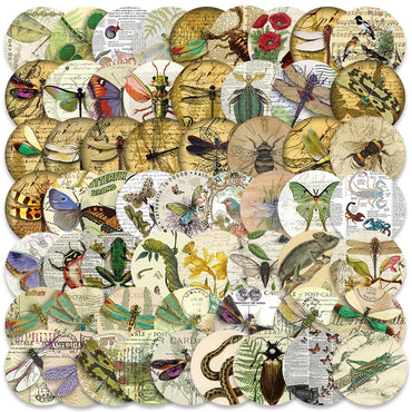 10/30/50PCS Vintage Insects Stickers Butterfly Aesthetic Retro Specimen Decals Decoration Laptop Phone Skateboard Fridge Graffit (ONLINE ORDER ONLY)