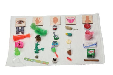 Sensory Classification: 5 Senses Objects & Wood Sorting Labels Kit (ONLINE ORDER ONLY)