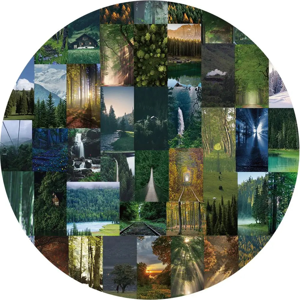 62PCS Misty Forest Landscape Sticker Waterproof Decoration Scrapbook Label Diary Stationery Phone Luggage Gift Toy Decal (ONLINE ORDER ONLY)