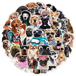 Dog Meme Stickers Pack for DIY Decor, Water Bottle, Laptop (ONLINE ORDER ONLY)