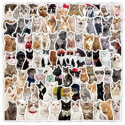 Realistic Cat Stickers Pack - Cute Animal Meme Decals, Waterproof for Laptop, Phone, Guitar, Bike (Online Order Only)