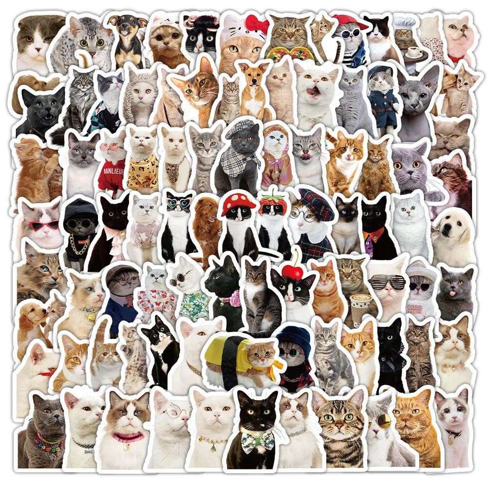 Realistic Cat Stickers Pack - Cute Animal Meme Decals, Waterproof for Laptop, Phone, Guitar, Bike (Online Order Only)