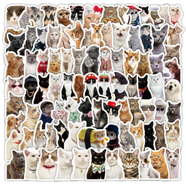 Realistic Cat Stickers Pack - Cute Animal Meme Decals, Waterproof for Laptop, Phone, Guitar, Bike (Online Order Only)