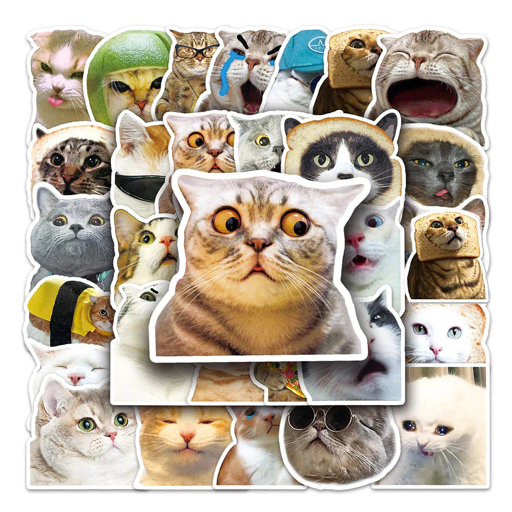 10/30/50PCS Funny Cute Cat Stickers Meme Kawaii Decals For Phone Notebook Laptop Phone Fridge Bike Graffiti DIY Waterproof Toys (ONLINE ORDER ONLY)