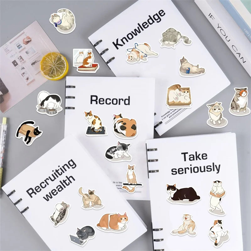 10/30/50PCS Kawaii Angry Cat Sticky PVC Sticker Aesthetic DIY Decoration Scrapbooking Korean Hand Accounting Supplies for Kids (ONLINE ORDER ONLY)