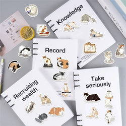 10/30/50PCS Kawaii Angry Cat Sticky PVC Sticker Aesthetic DIY Decoration Scrapbooking Korean Hand Accounting Supplies for Kids (ONLINE ORDER ONLY)