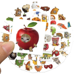 10/30/69pcs Cute Funny Cat And Food Meme Stickers (ONLINE ORDER ONLY)