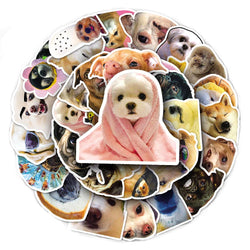 Cute Dog Meme Stickers Pack - Animal Graffiti Decals for Motorcycle, Luggage, Skateboard, Kids Toy (ONLINE ORDER ONLY)