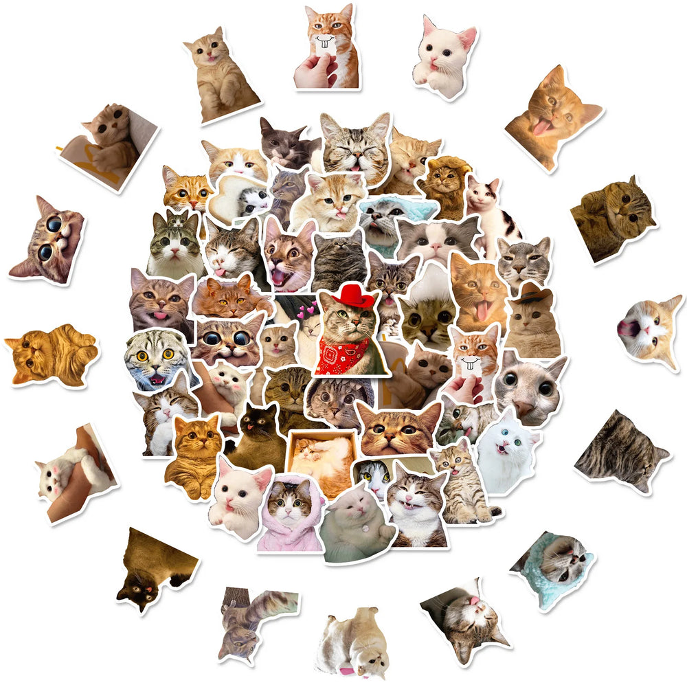 50pcs/Bag,Fun Cat Stickers,PETWaterproof, Be Suitable for Suitcase Skateboard DIY Luggage Laptop Phone Creative Stationery Toys (Online Order Only)